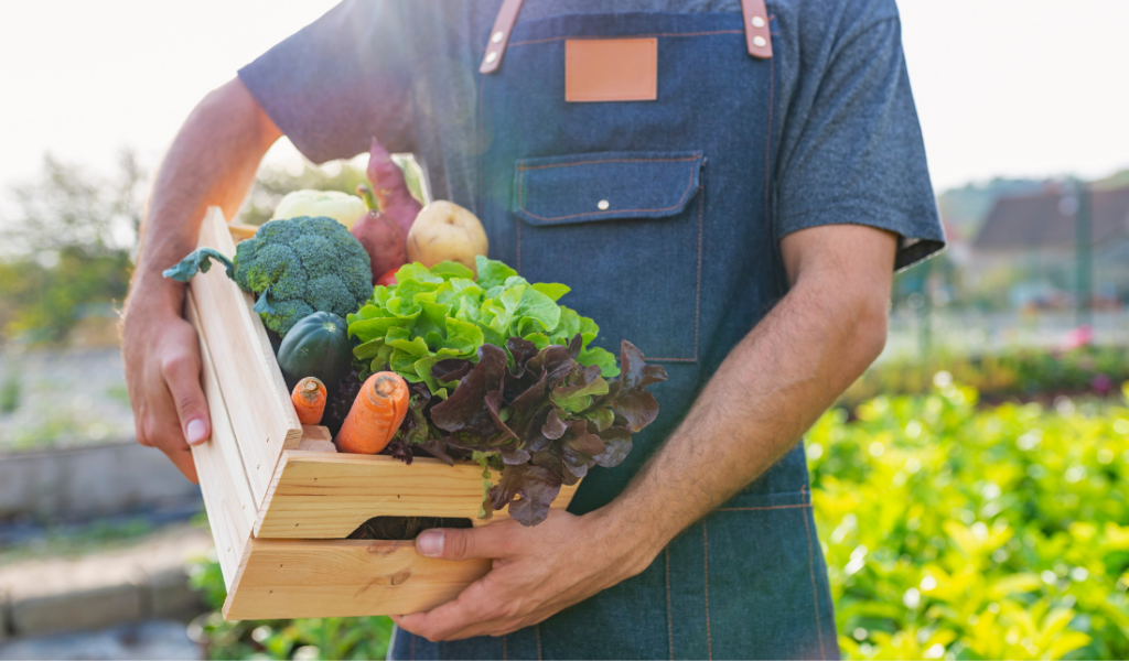 organic health diet wellness