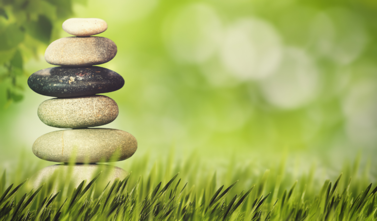 All-Natural, Organic Health, Beauty and Wellness