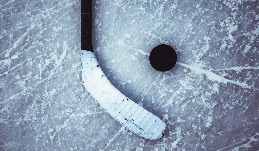 Hockey stick and hockey puck