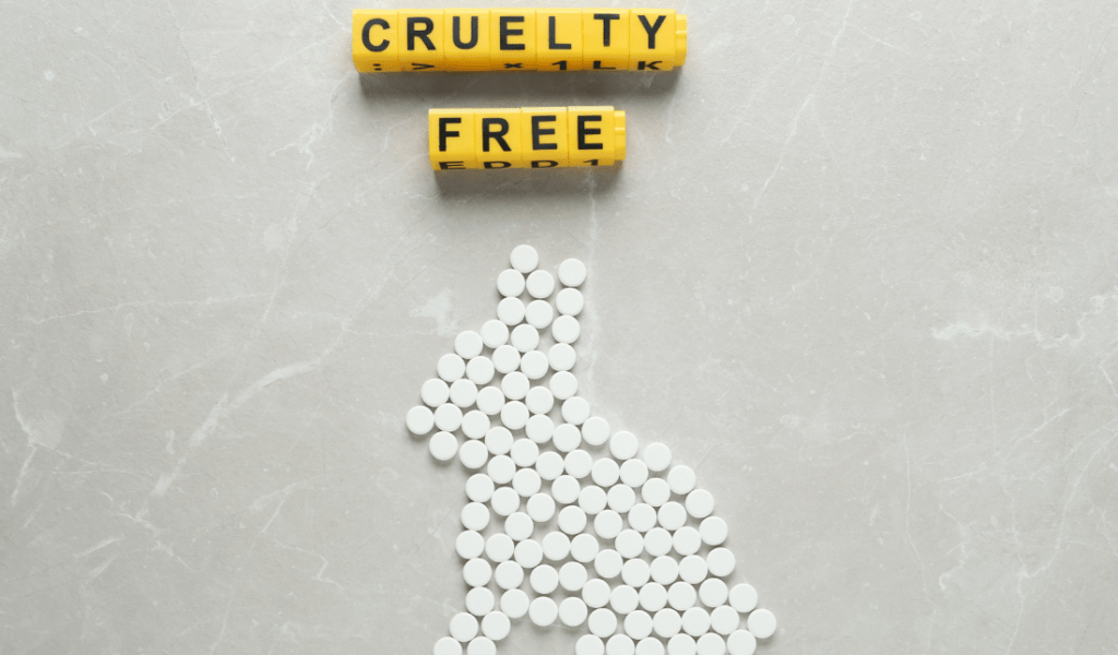 Image of a piece of clothing with animal testing written over it