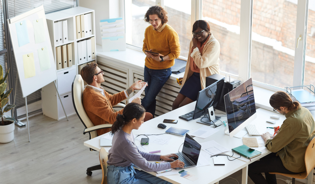 Software Training Products for Internet Marketers