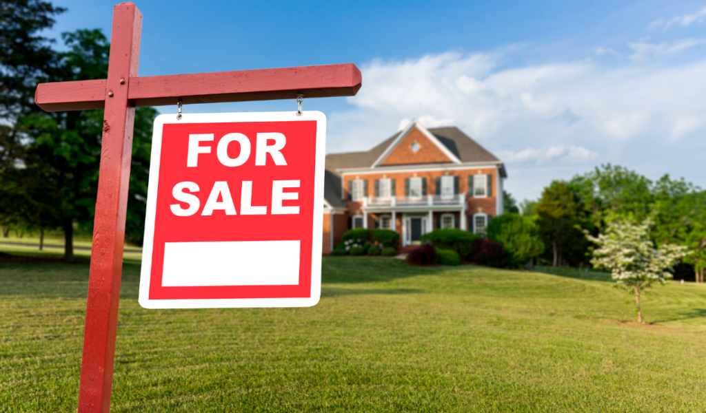 aerial view of a large plot of land with a “For Sale” sign somewhere within the frame