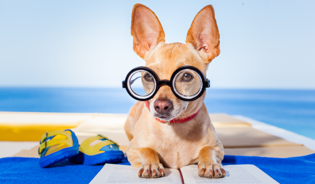 animated character reading a book