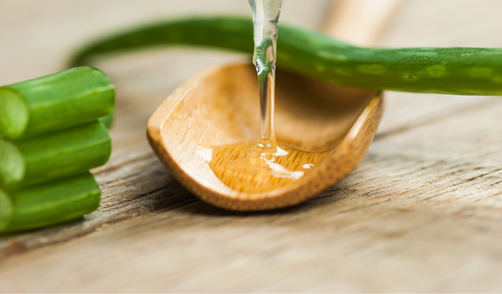 eco-friendly, organic garden showcasing natural beauty and purity 2