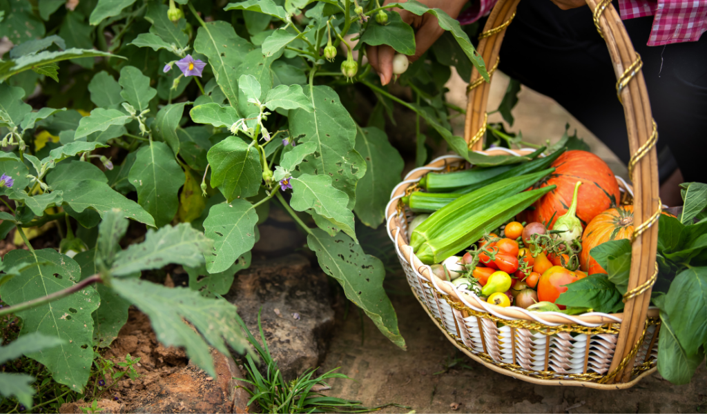 farm or a food processing plant