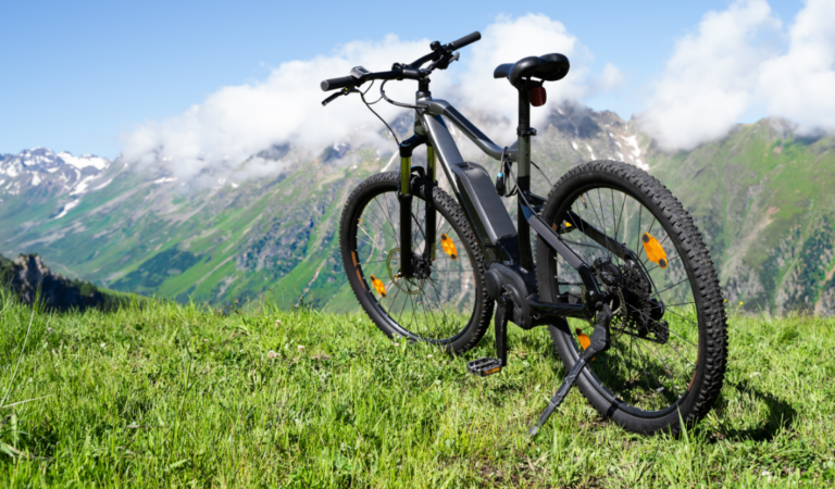 growing eBike brand