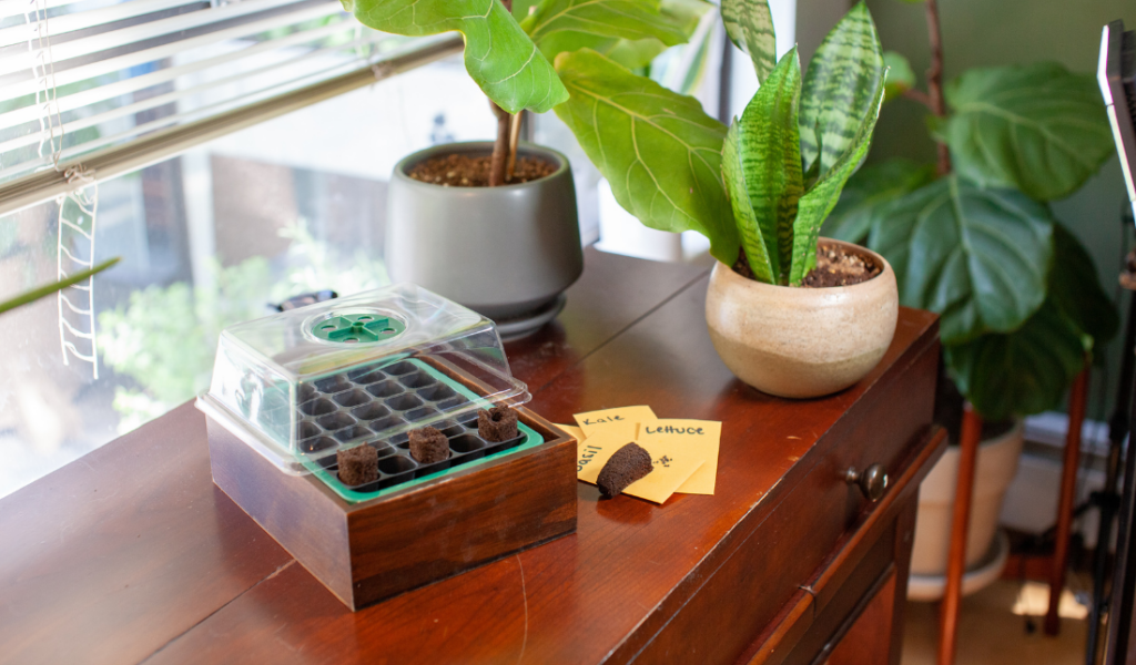 indoor gardening kits