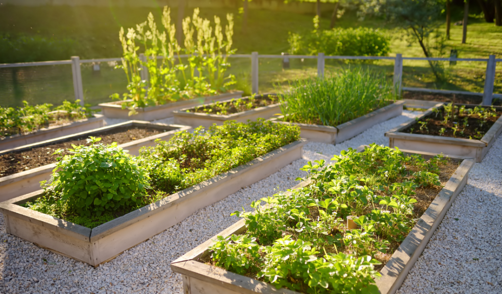 kitchen and gardening goods