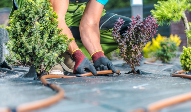 landscaped garden with a plastic trench drain