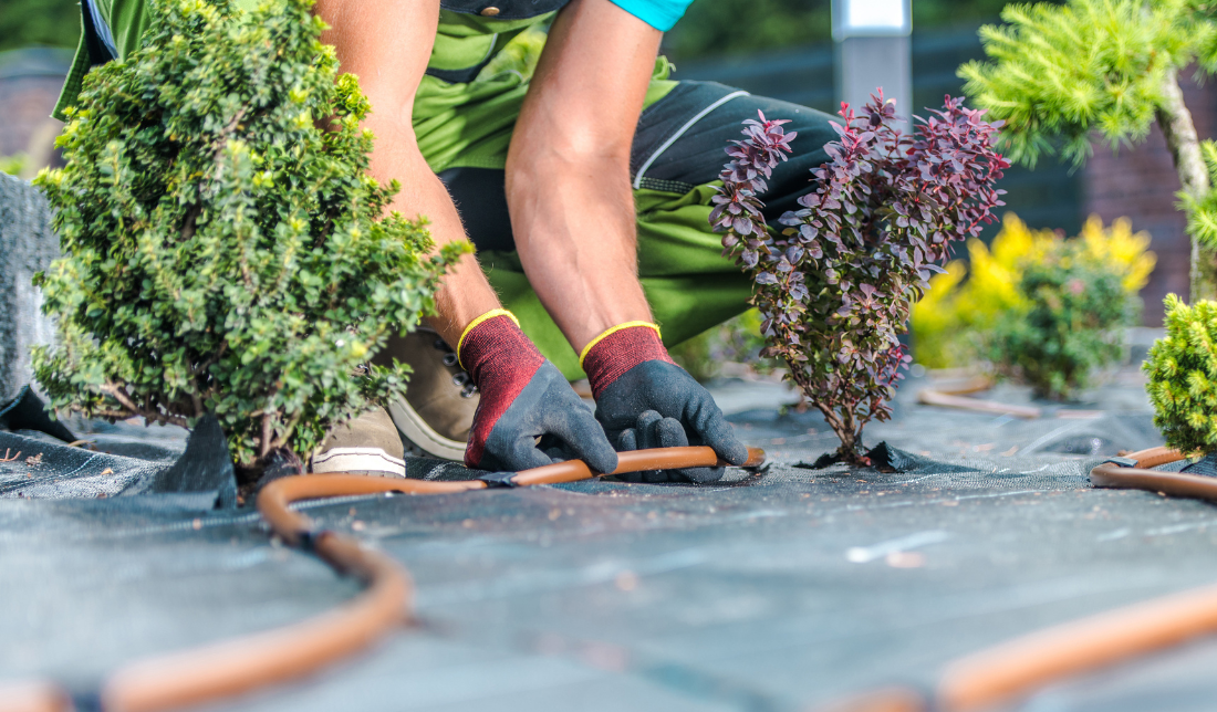 landscaped garden with a plastic trench drain