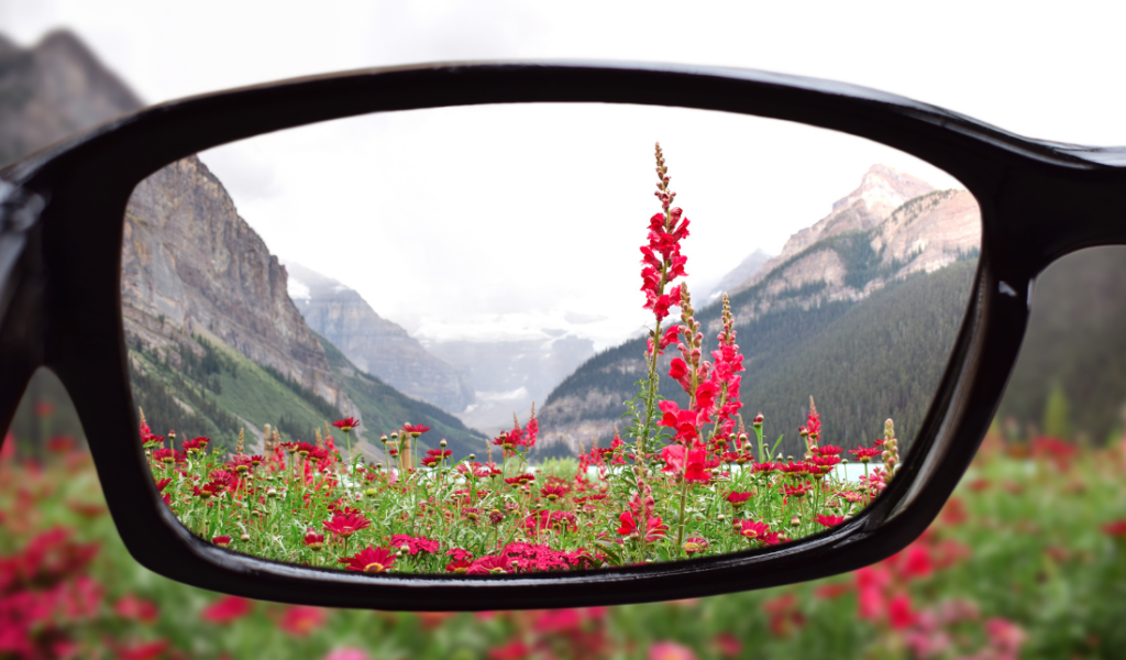 optics industry eyeglasses