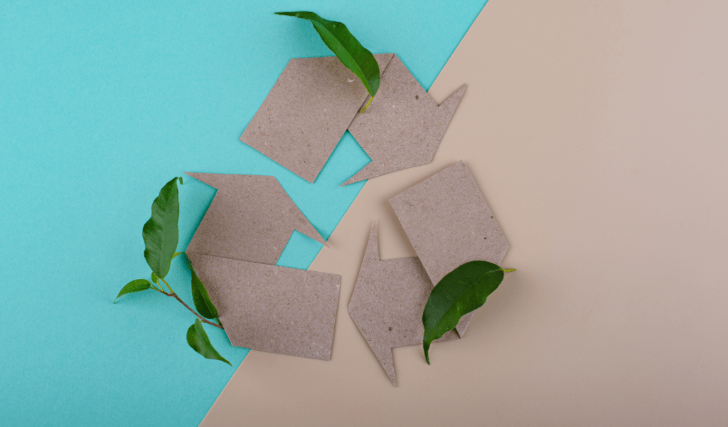 organic eco friendly arts crafts