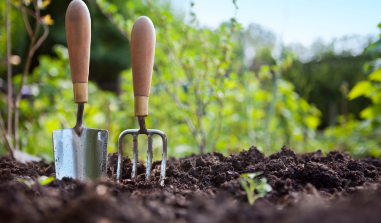 outdoor living and gardening products