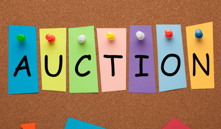 participate auction model