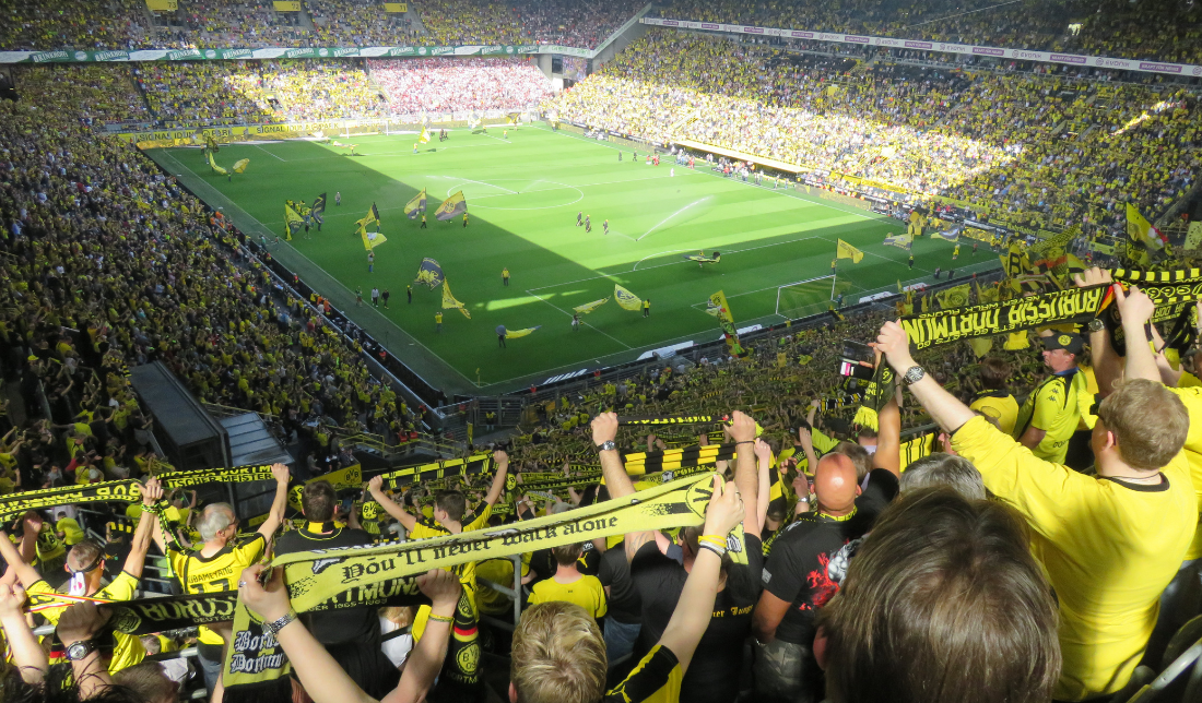 people watching a sports event