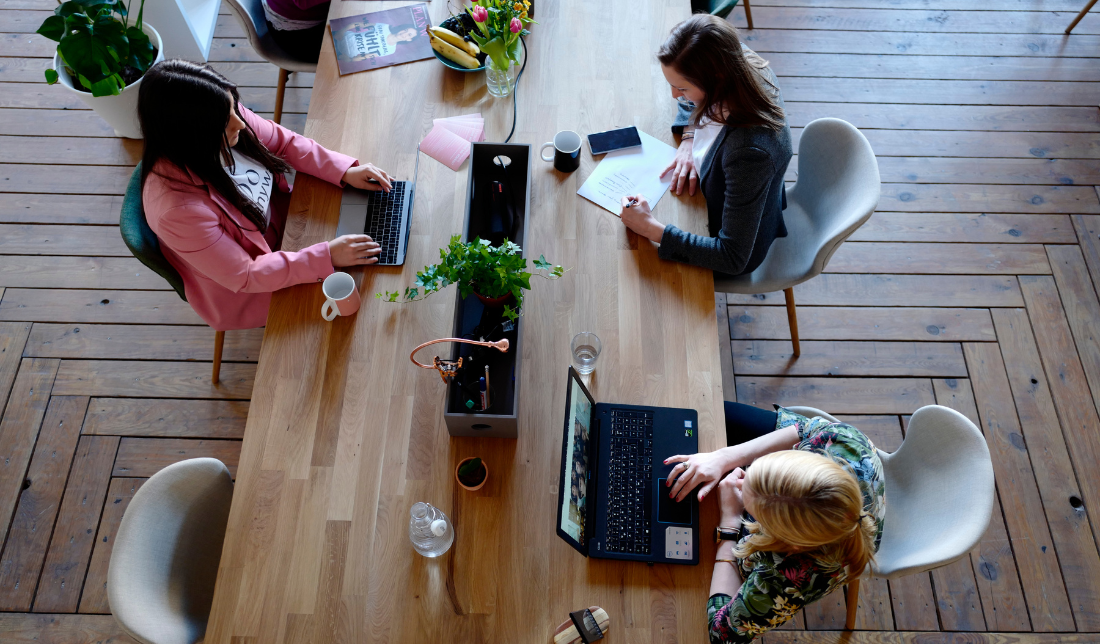 people working on laptops in office