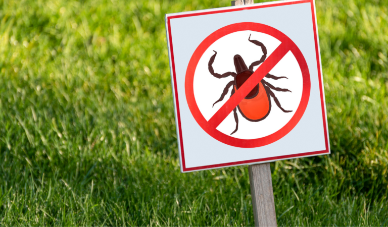 pest repellent