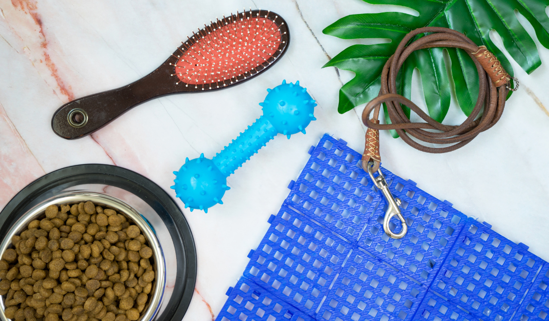 pet supplies for dogs and cats