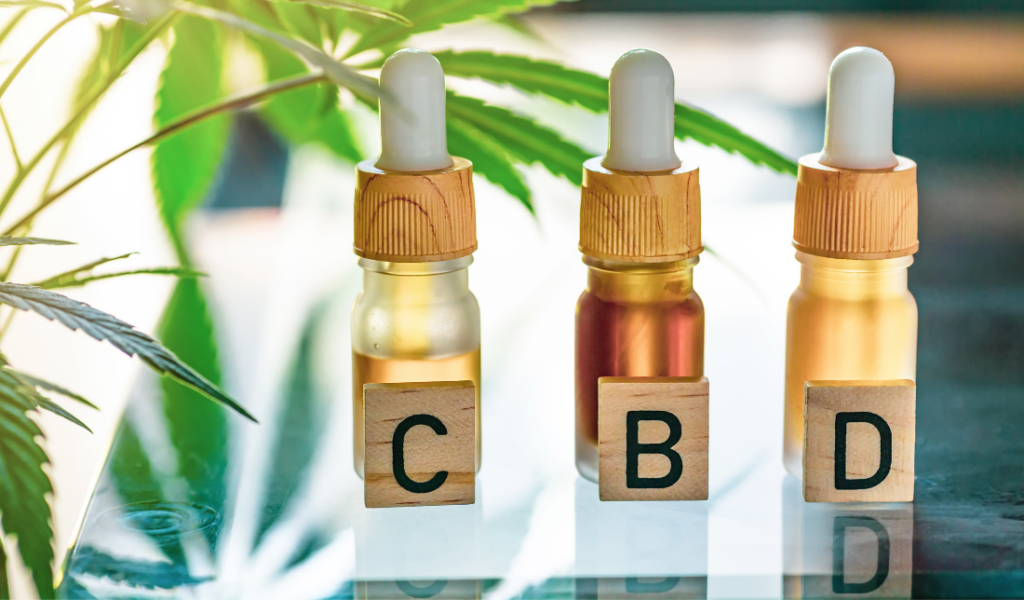 plant with the letters CBD in bold on a lighter background