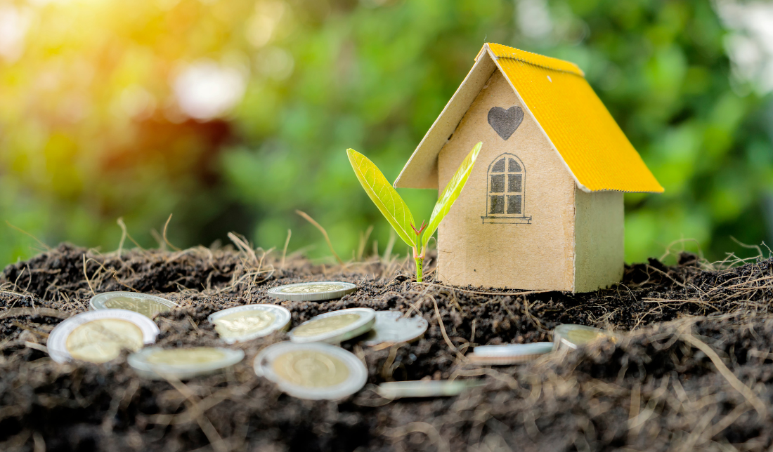 real estate Undeveloped and Unmaintained Land