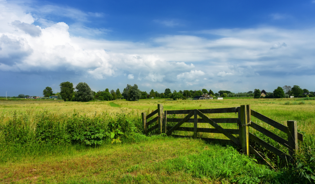 rural landscape with vast fields and clear blue skies