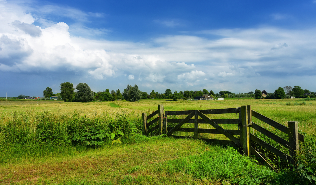 rural landscape with vast fields and clear blue skies