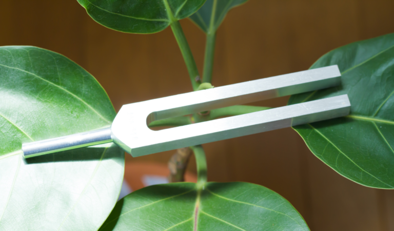 tuner forks