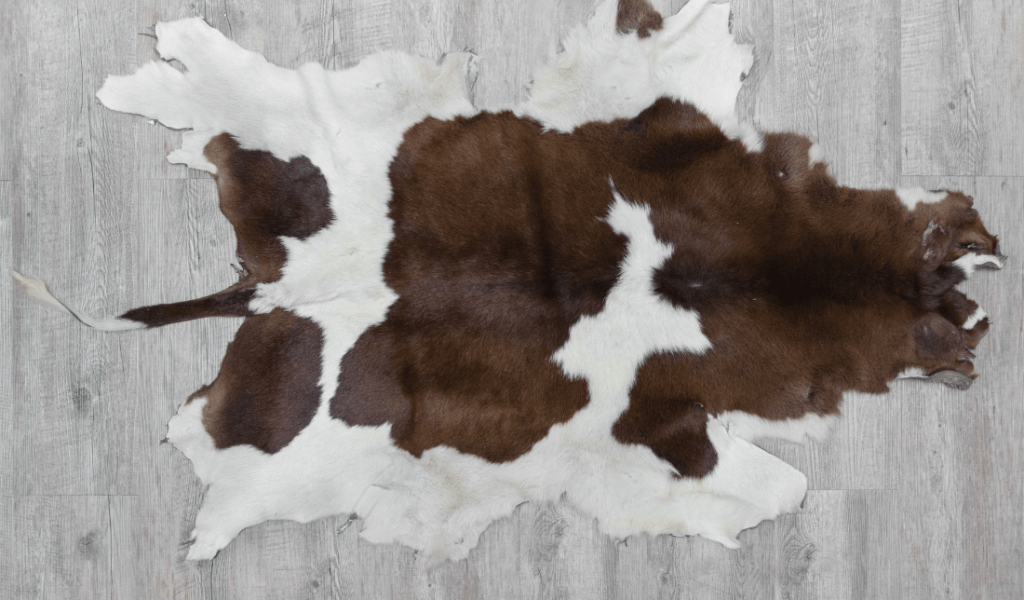 RARE TAXIDERMY and WILDLIFE ART