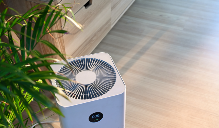 air purification