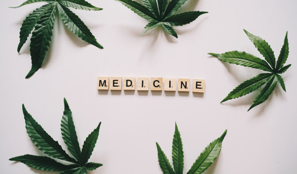 computer screen with marijuana leaves