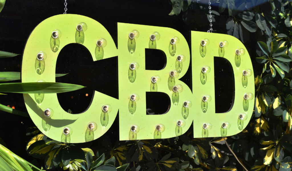 green leaf on a white background with the company