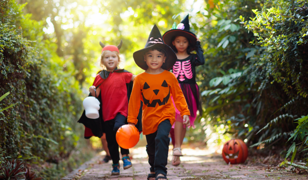 spooky costume or a fun and funky fun hat