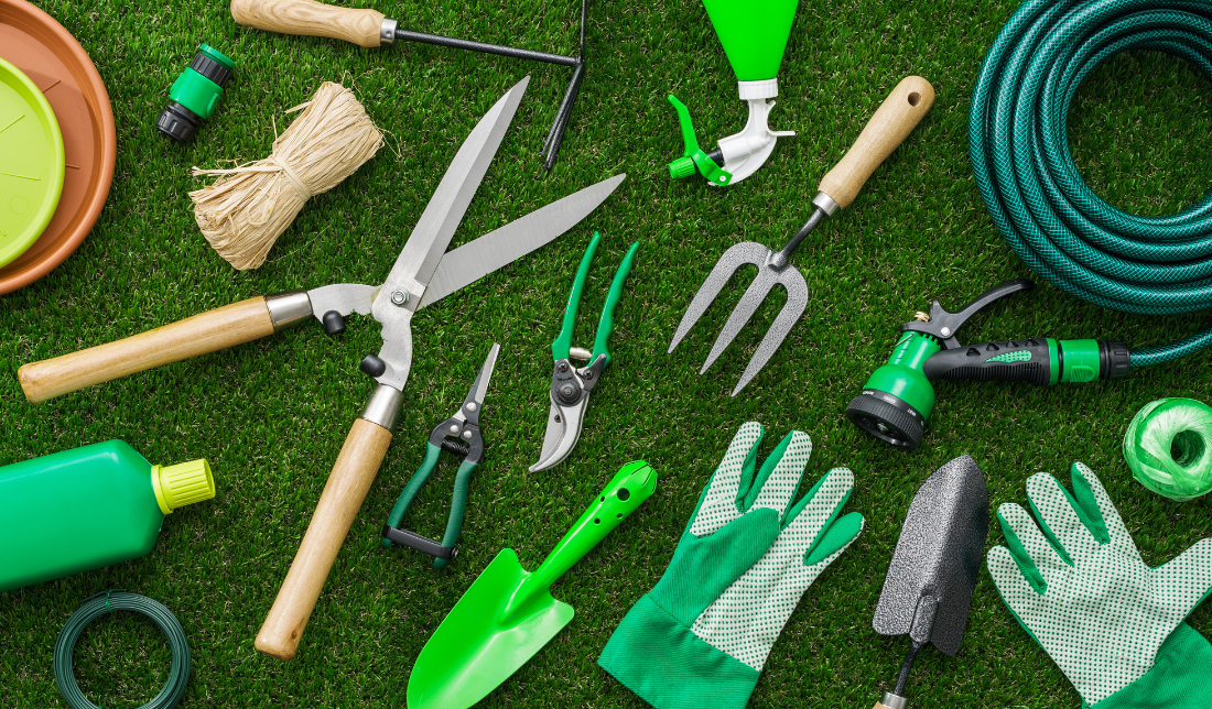 vibrant and lush garden with various tools and plants